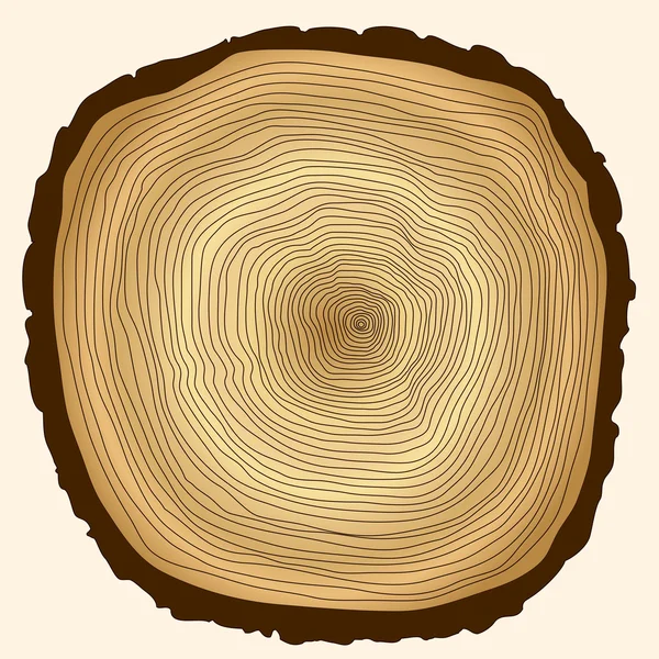 Anillos de árboles, tronco cortado — Foto de Stock