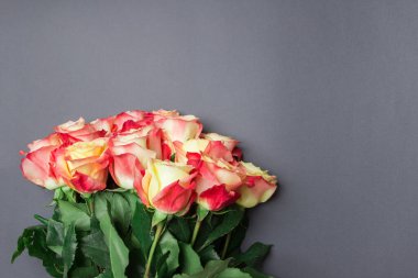 Gri renkli arka planda fotokopi alanı olan bir buket gül. Kapat. maket yap.