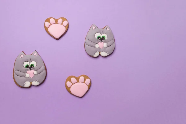 Biscuits Saint Valentin Sous Forme Chats Sur Fond Papier Couleur — Photo