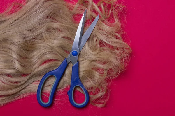 blond hair and scissors on red background, top view.