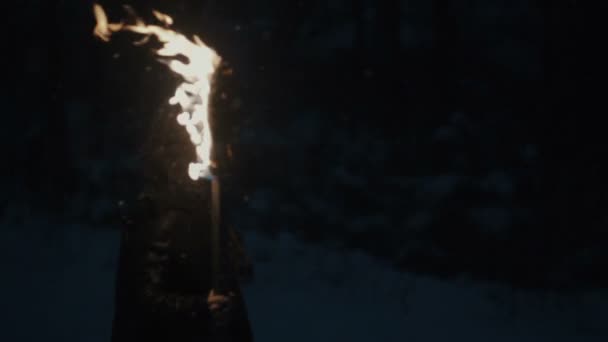 Portrait of a young mystic woman walking in the dark forest with a torch. — Stock Video