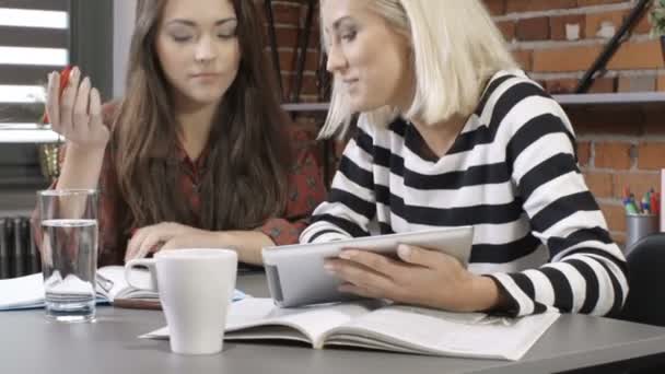 Twee mooie jonge meisjes die studeren aan moderne loft appartement. — Stockvideo