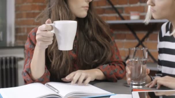 Duas meninas bonitas estudando no apartamento loft moderno . — Vídeo de Stock