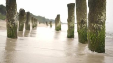 Baltık kıyıları ile ahşap dalgakıranlar. ahşap groynes sonbahar günü Polonya herhangi bir yerinde.