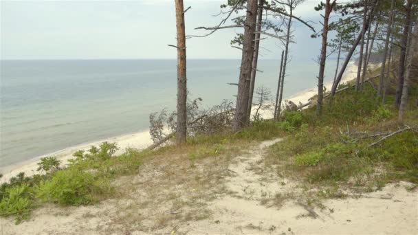 Mar Baltico durante l'autunno da qualche parte in Polonia — Video Stock