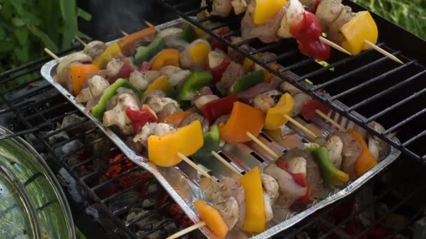 Smakelijke spiesjes op de tuin, barbecue, close-up. — Stockvideo