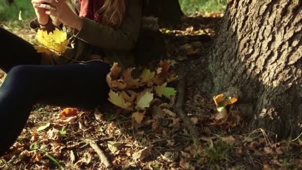 Feliz joven enviando mensajes de texto SMS en el parque de otoño . — Vídeos de Stock