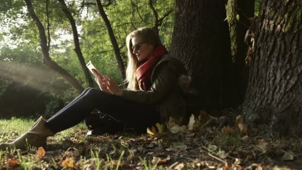 Belles jeunes femmes caucasiennes utilisant une tablette dans le parc d'automne . — Video