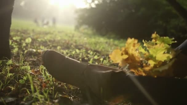 Schöne Frauenbeine in Herbstblättern. — Stockvideo
