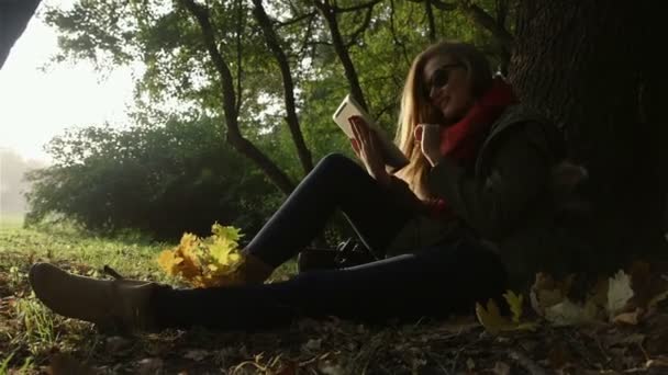 Belles jeunes femmes caucasiennes utilisant une tablette dans le parc d'automne . — Video