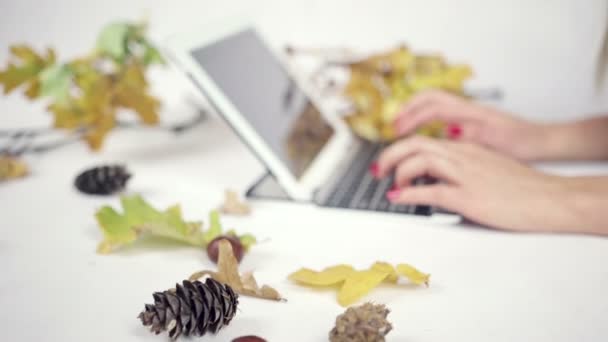 Close-up op vrouw handen typen op haar laptop in heldere studio — Stockvideo