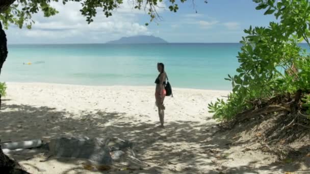 Mujer en la hermosa playa de Seychelles caminando sobre arena, vista trasera . — Vídeos de Stock