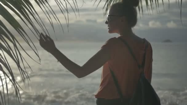 Retrato lateral de uma jovem mulher desfrutando do pôr do sol em pé em uma praia tropical . — Vídeo de Stock