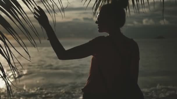 Giovane bella donna in piedi verso il sole sulla spiaggia di mare durante un tramonto incredibile. Giovane donna in piedi su una spiaggia e guardando verso un mare . — Video Stock