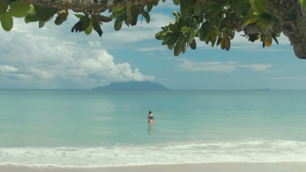 Jovem mulher se divertindo no oceano . — Vídeo de Stock