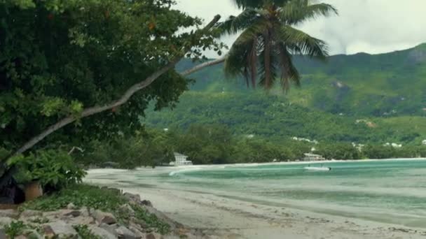 Lanskap alam Seychelles di pulau Mahe . — Stok Video