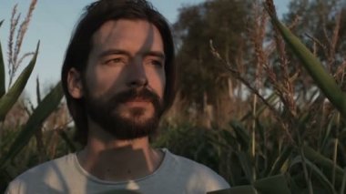 Bir Mısır tarlasında tek başına duran sakallı yakışıklı hippi. Doğa manzara modunda gün batımı/güneşin doğuşu.