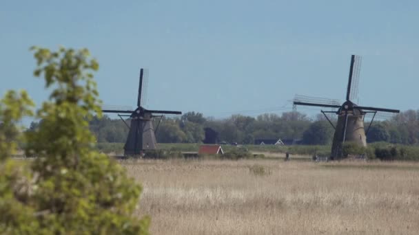 Forntida väderkvarnar nära Kinderdijk, Nederländerna. — Stockvideo