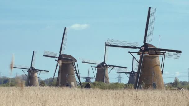 Starożytne wiatraki w pobliżu Kinderdijk, Holandia. — Wideo stockowe