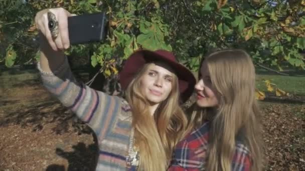 Leende unga tjejer tar selfie i en park på hösten. — Stockvideo