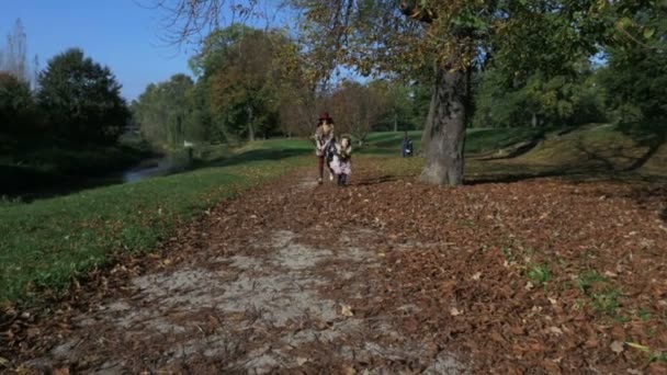 Moeder spelen met haar dochter in zonnige park, buitenshuis. — Stockvideo