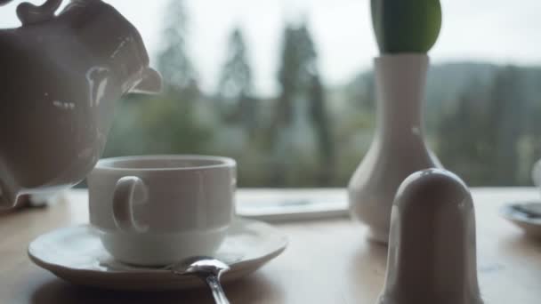 La mano de la mujer vertiendo leche en la taza de café del platillo . — Vídeos de Stock