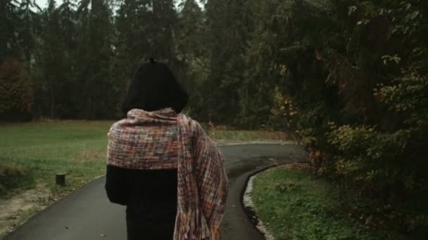 Mujer elegante caminando en el parque de otoño / bosque durante el día lluvioso, vista trasera . — Vídeos de Stock