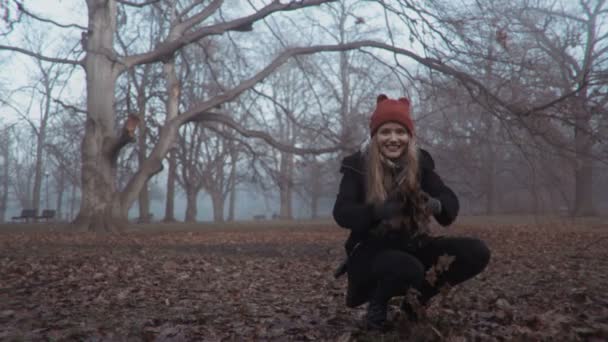 Portrait d'une femme heureuse jouant avec les feuilles d'automne dans le parc automnal . — Video