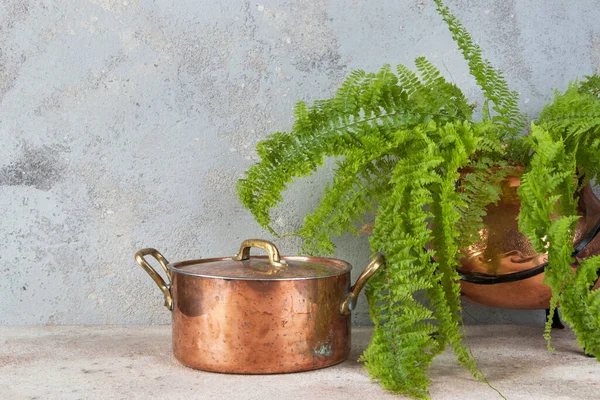 蓋と真鍮ハンドルと具体的な背景に銅の花の鍋に緑の植物と古い銅鍋 テキストのスペースをコピーします フードフォトプロップ — ストック写真