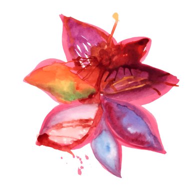 Portakal çiçeği. Suluboya çiçek şekil.