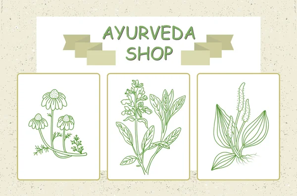 Ayurveda sklep - ilustracja wektorowa. Zioła ajurwedyjskie nadaje się do reklamy, szyldy, pakowania i wzorów tożsamości i sieci web. — Wektor stockowy