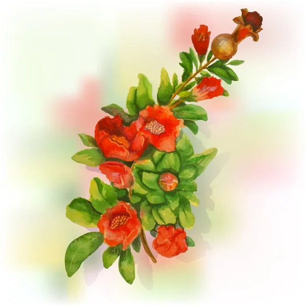 ザクロの花の水彩画 — ストックベクタ