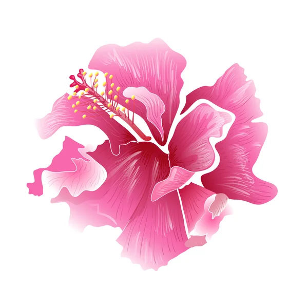 Ιβίσκος λουλούδι - σερφ και τροπικά σύμβολο — Διανυσματικό Αρχείο