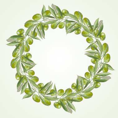 Zeytin çelenk - vektör çizim
