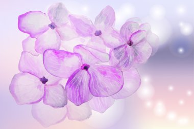 suluboya çiçek - vektör