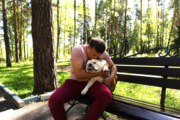 Liefde Kus Een Engelse Bulldog — Stockfoto