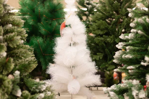 Der Weihnachtsbaum Verkauf Weiß Grün — Stockfoto