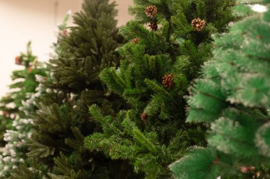 Yeni yıl yeşillikleri, yapay süslemeler, indirimler.