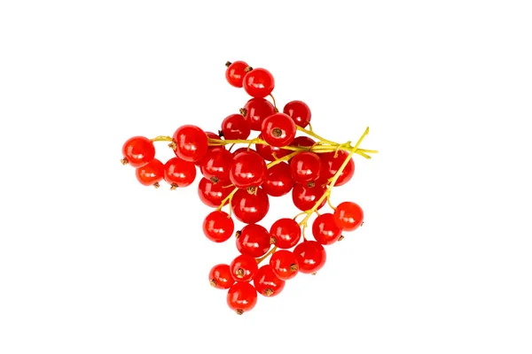红色的醋栗浆果在白色的背景上被分离出来 — 图库照片