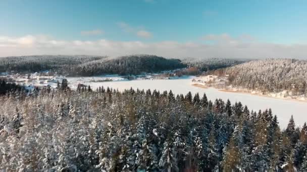 Зимовий ліс вид на сосну, ялинки та пагорби, вкриті снігом. Дивовижний природний пейзаж, заморожений ліс і озеро — стокове відео