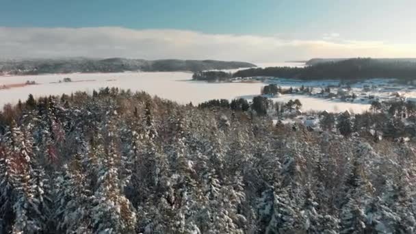 Vinter skog antenn utsikt över skog, sjö och kullar täckt med snö. — Stockvideo