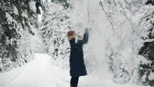 Mladá žena setřásá sníh ze stromu v zimním lese. Usměje se a jde kupředu. — Stock video
