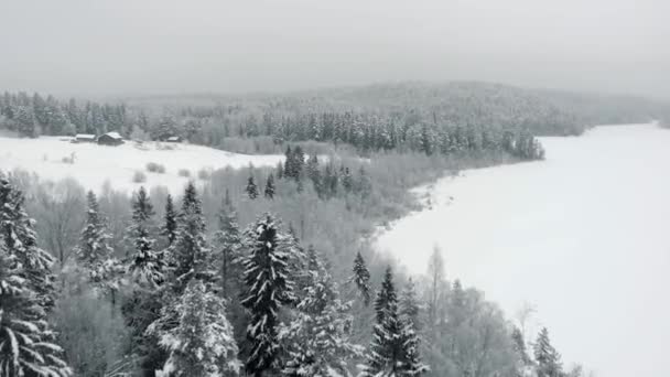 Niesamowity widok z lotu ptaka. Zamarznięte jezioro i widok na drzewa i wzgórza pokryte śniegiem. — Wideo stockowe