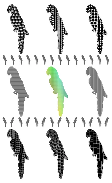 Parrot silhouettes — Stock Vector