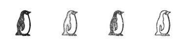 Skeç biçimi asgari adelie penguen simgesi tasarımı seti