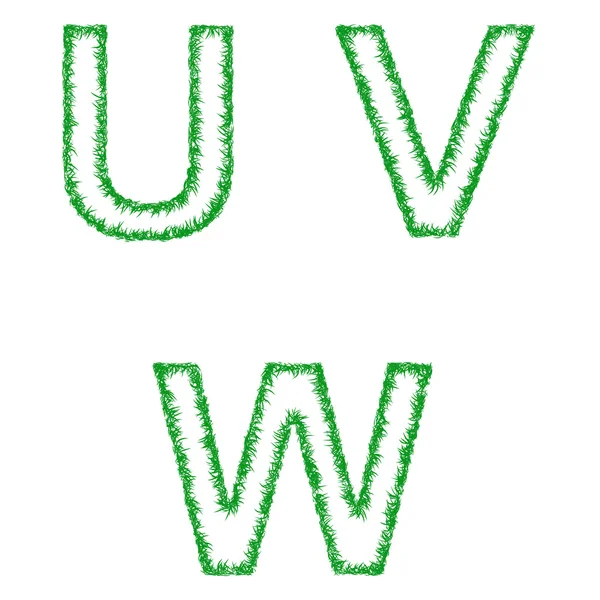 Conjunto de fontes Green grass - letras U, V, W — Vetor de Stock