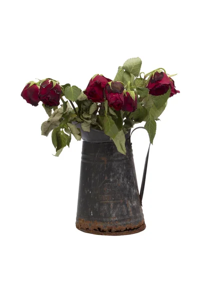 Old rose bouquet in a rusty jug isolated on white background — Stock Photo, Image