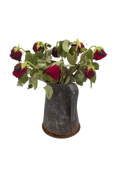 Old rose bouquet in a rusty jug isolated on white background — Stock Photo, Image