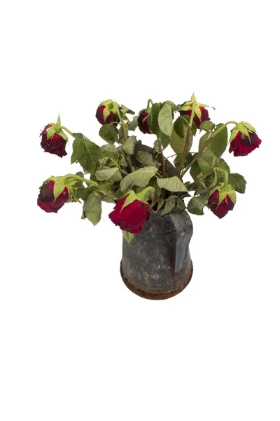 Old rose bouquet in a rusty jug isolated on white background — Stock Photo, Image