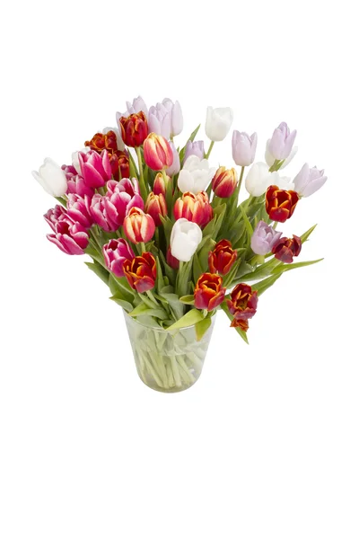 Bouquet of tulips isolated on white background — Stock Photo, Image